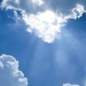 Meet your Posher, Pat